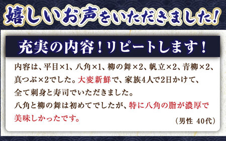 【北海道】漁港直送！季節のおまかせ鮮魚 3kg【鵡川漁業協同組合】 鮮魚 鮮魚 鮮魚 鮮魚 鮮魚 鮮魚 [AXAL002]