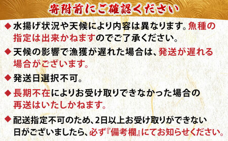 【北海道】漁港直送！季節のおまかせ鮮魚 3kg【鵡川漁業協同組合】 鮮魚 鮮魚 鮮魚 鮮魚 鮮魚 鮮魚 [AXAL002]