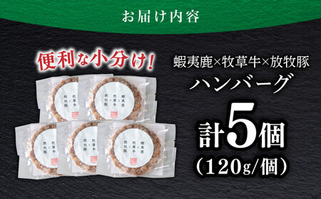 【蝦夷鹿×牧草牛×放牧豚】ハンバーグ 5個 ハンバーグ 鹿肉 牛肉 豚肉 ジビエ [AXBP003]