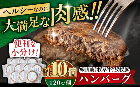 【蝦夷鹿×牧草牛×放牧豚】ハンバーグ 10個【GOODGOOD株式会社】 ハンバーグ 鹿肉 牛肉 豚肉 小分け 冷凍配送 北海道 [AXBP004]