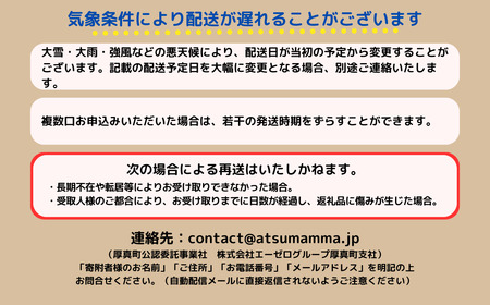 【G-214R】9月中旬発送開始＜令和6年新じゃが＞北海道厚真町産！「メークイン10kg」工藤さん手づくりじゃがいも《数量限定》ジャガイモ　新じゃがいも