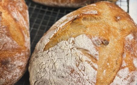 自家製酵母のパン詰め合わせ Aセット【パン工房Chillin'】詰め合わせ 詰め合わせ 詰め合わせ 詰め合わせ 詰め合わせ [AXBC001]