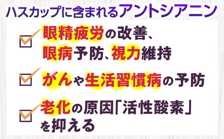 ハスカップゼリー 12個 ハスカップ ハスカップ ハスカップ ハスカップ ハスカップ [AXAB041] 10000 10000円