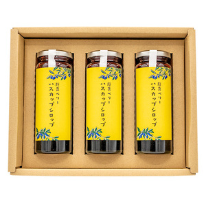 北海道厚真町産ハスカップシロップ3瓶セット【株式会社知熊屋】 [AXBN004]