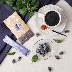 HOKKAIDO CAFE 厚真ハスカップ珈琲 2本入り【パウダーフーズフォレスト株式会社】フレーバーコーヒー 北海道 [AXBY003]