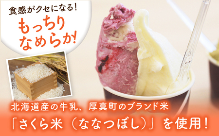 米粉のジェラート 6種×2セット アイス スイーツ 北海道 [AXBQ007]