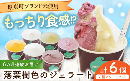 【全6回定期便】落葉樹色のジェラート6種セット 【株式会社クーバル】 アイス ミルク バニラ 米粉 スイーツ 大容量 業務用 北海道  [AXBQ010]