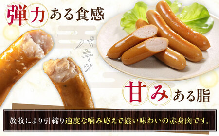 【全2回定期便】【結着剤・発色剤・保存料不使用】 放牧豚 ソーセージ11種セット 無添加 [AXBA026]