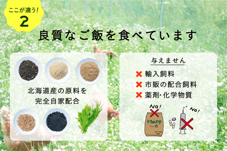 【月2回・12ヵ月定期便】平飼い有精卵 50個 計1200個【冷蔵便】たまご 玉子 生 冷蔵 [AXAN023]