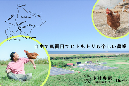 【月2回・12ヵ月定期便】平飼い有精卵 50個 計1200個【冷蔵便】たまご 玉子 生 冷蔵 [AXAN023]