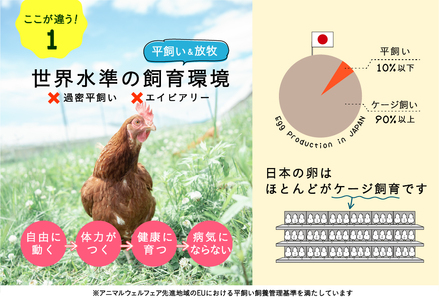 【2ヵ月定期便】平飼い有精卵 25個 計50個【冷蔵便】たまご 玉子 生 冷蔵 [AXAN090]