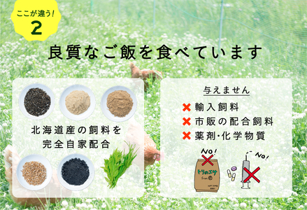 【2ヵ月定期便】平飼い有精卵 25個 計50個【冷蔵便】たまご 玉子 生 冷蔵 [AXAN090]