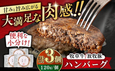 【牧草牛×放牧豚】ハンバーグ 3個 【GOODGOOD株式会社】 合い挽き 牛肉 豚肉 小分け 冷凍 北海道 [AXBP013]