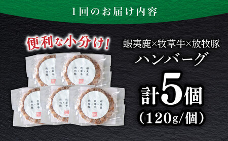 【全6回定期便】【蝦夷鹿×牧草牛×放牧豚】ハンバーグ 5個   鹿肉 牛肉 豚肉 小分け 冷凍 北海道 [AXBP020]
