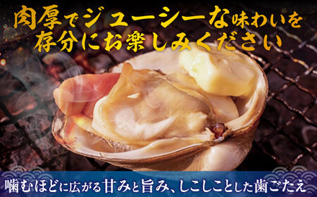 活ほっき貝 4kg（約16-24個）【鵡川漁業協同組合】ホッキ 北寄貝 北海道 [AXAL006]