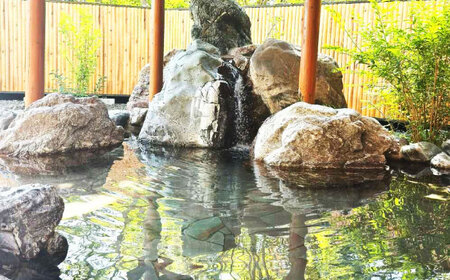 こぶしの湯あつま 日帰り入浴券 12枚セット 【(株)あつまスタンプ会】サウナ 日帰り  [AXAX002] 