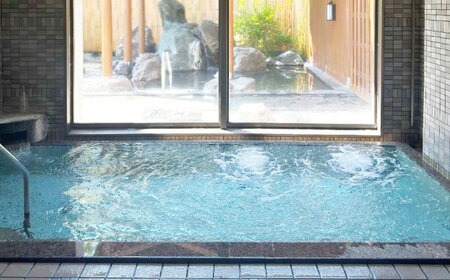 こぶしの湯あつま 日帰り入浴券 12枚セット 【(株)あつまスタンプ会】サウナ 日帰り  [AXAX002] 