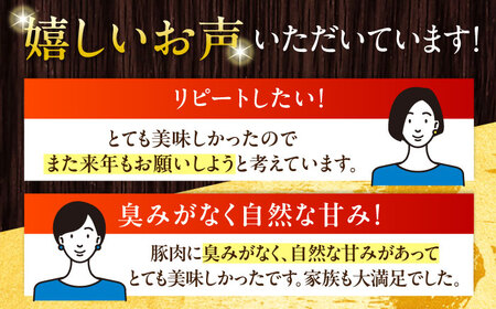 放牧豚 チョリソー 計800g（100g×8） 豚肉 ソーセージ 無添加 北海道 [AXBA099]