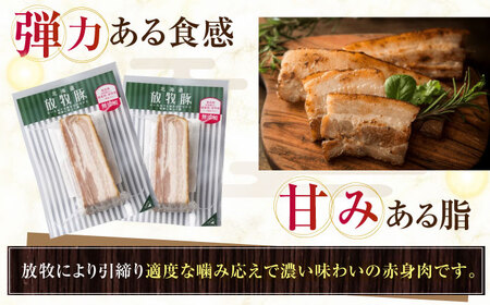 放牧豚 ベーコンブロック 計360g（180g×2） 無添加 発色剤不使用 北海道 [AXBA112]