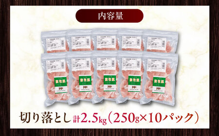 放牧豚 切落し 計2.5kg（250g×10） 精肉 スライス 小分け 冷凍 北海道 [AXBA120]