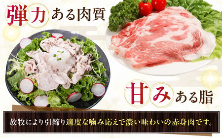 放牧豚肩ロース しゃぶしゃぶ 計340g（170g×2） 精肉 スライス 薄切り 小分け 冷凍 北海道 [AXBA130]