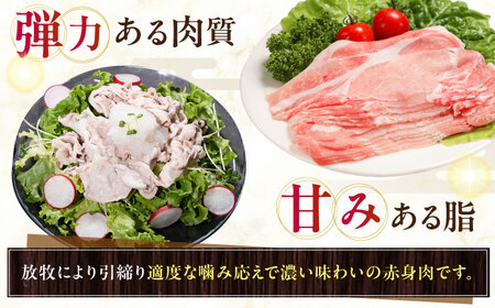 放牧豚ロース しゃぶしゃぶ 計900g（150g×6） 精肉 スライス 薄切り 小分け 冷凍 北海道 [AXBA137]
