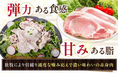 放牧豚ロース 豚丼の具 計1280g（160g×8） [AXBA143]