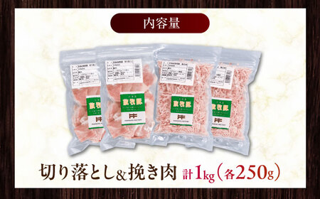 放牧豚 切落し・挽き肉 セット 計1kg（250g×4） 精肉 豚肉 ミンチ スライス 小分け 冷凍 北海道  [AXBA158]