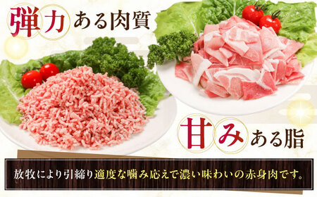 放牧豚 切落し・挽き肉 セット 計1.5kg（250g×6） 精肉 豚肉 ミンチ スライス 小分け 冷凍 北海道  [AXBA159]