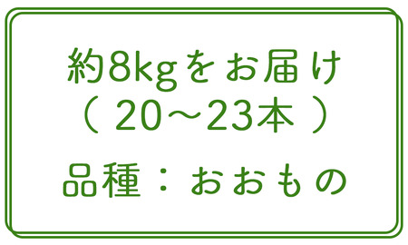 【2026年8月下旬発送予定】北海道厚真産とうもろこし おおもの 先行予約  [AXAE001] 