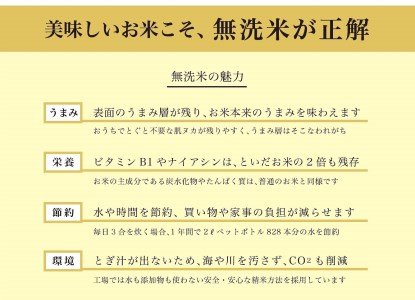 【1057】厚真町産さくら米（ななつぼし）無洗米10㎏