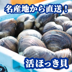 北海道 厚真町近海で獲れた活ほっき貝 10～15個セット 《厚真町》【鵡川漁業協同組合】[AXAL003]