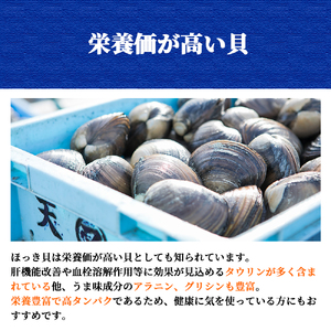 北海道 厚真町近海で獲れた活ほっき貝 10～15個セット 《厚真町》【鵡川漁業協同組合】[AXAL003]