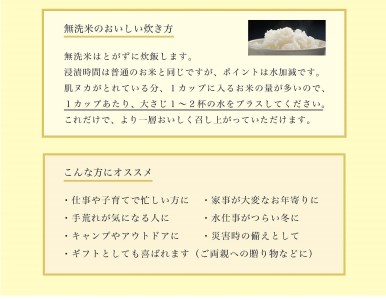 【全6回定期便】〈令和6年度産新米〉【無洗米】北海道厚真町限定生産ブランド米 さくら米（ななつぼし）10kg 《厚真町》【とまこまい広域農業協同組合】 [AXAB012] 米 白米 北海道 お米 米 白米 北海道 お米 米 白米 北海道 お米 米 白米 北海道 お米