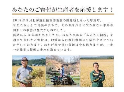 【1095】 北海道厚真町ブランド米《玄米》さくら米10kg