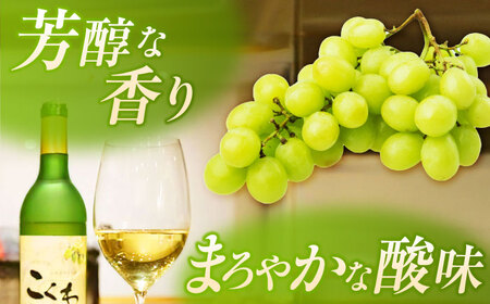 こくわワイン 白ワイン 720ml×2 酒 アルコール コクワ フルーツ [AXAB043]