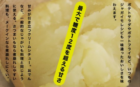 【先行予約商品】【5月中旬から発送予定！】氷室メークイン 5kg《厚真町》【とまこまい広域農業協同組合】 じゃがいも じゃがいも じゃがいも じゃがいも じゃがいも   [AXAB046]