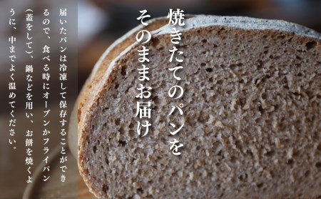 【1109】此方の天然酵母パン ３か月定期便コース