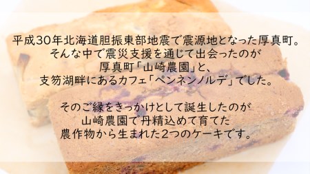 【1105】「ジャガイモのバターケーキ」＆「ハスカップとコーンミール」ケーキセット