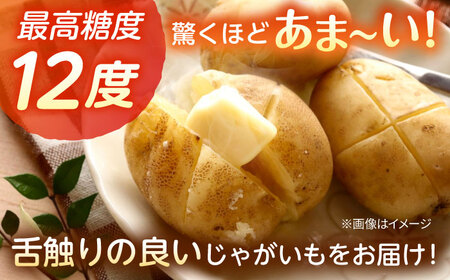 【先行予約商品】【5月中旬から発送予定！】氷室メークイン2kg じゃがいも ジャガイモ 芋 北海道 [AXAB048]