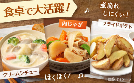 【先行予約商品】【5月中旬から発送予定！】氷室メークイン 10kg じゃがいも ジャガイモ 芋 北海道 [AXAB044]