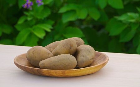 氷室熟成あつまいも（メークイン）9.5kg×1箱 【株式会社伝平さんの畑】 じゃがいも ジャガイモ 芋 北海道 [AXAD002]