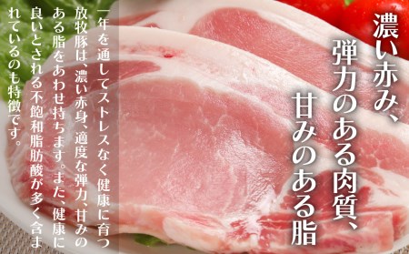 厚真希望農場で育った放牧豚の無添加ソーセージ11種類ボリュームセット 《厚真町》【ファーマーズファクトリー株式会社】[AXBA003]