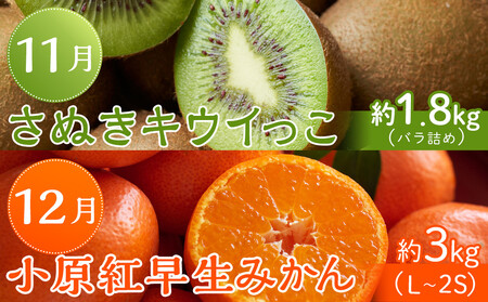 坂出市「旬のフルーツを味わう6回」定期便 【発送月：2月・4月・7月・9月・11月・12月】