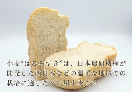 パン用 強力小麦粉「はるみずき」25kg