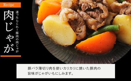 【ふるさと納税】カット済み国産豚モモ切り落とし2.5kg（500g×5パック）