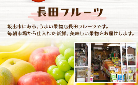 <定期便>四季の美味しい果物詰め 年間4回に分けてお届け!