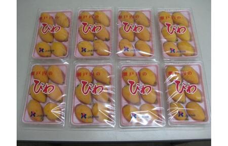 びわ 坂出市産 約1.6kg ( 4パック × 2箱 )|初夏の味覚