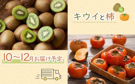 【お中元ギフト/化粧箱・熨斗対応】旬を見極めた厳選フルーツ詰め合わせ 【半月セット】（3～5品種）