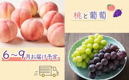 【お中元ギフト/化粧箱・熨斗対応】旬を見極めた厳選フルーツ詰め合わせ 【満月セット】(5~8品種)